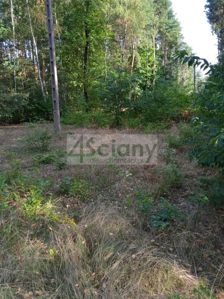 Działka budowlana Chotomów. Zdjęcie 2
