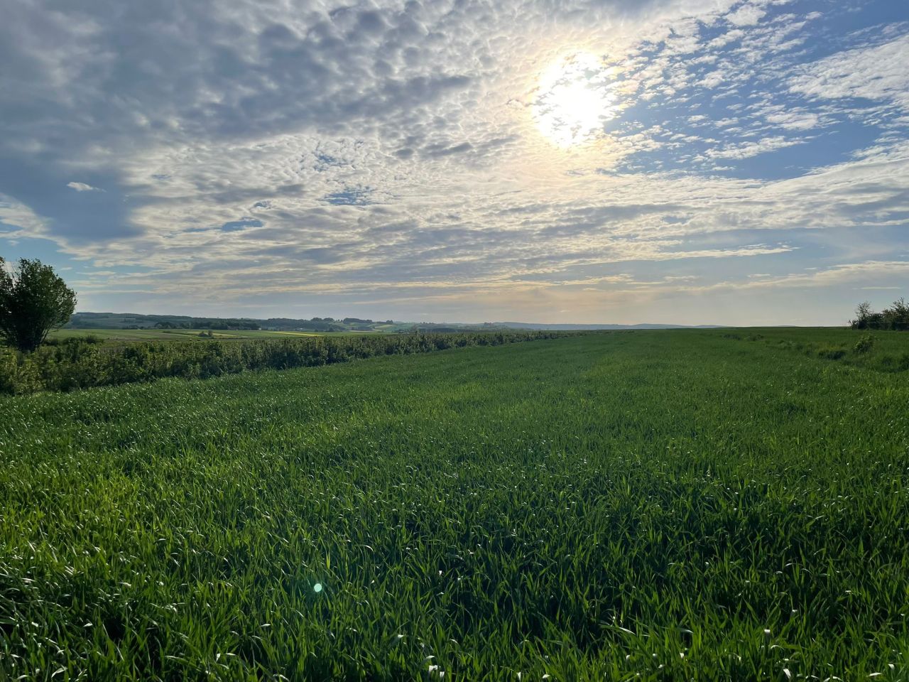 Działka rolno-budowlana Witów. Zdjęcie 6