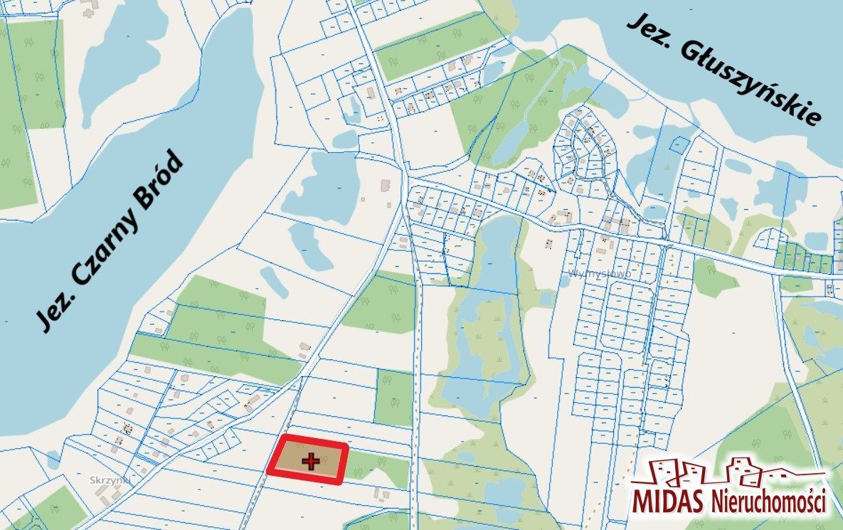 Działka rolna Stawiska Wymysłowo. Zdjęcie 6