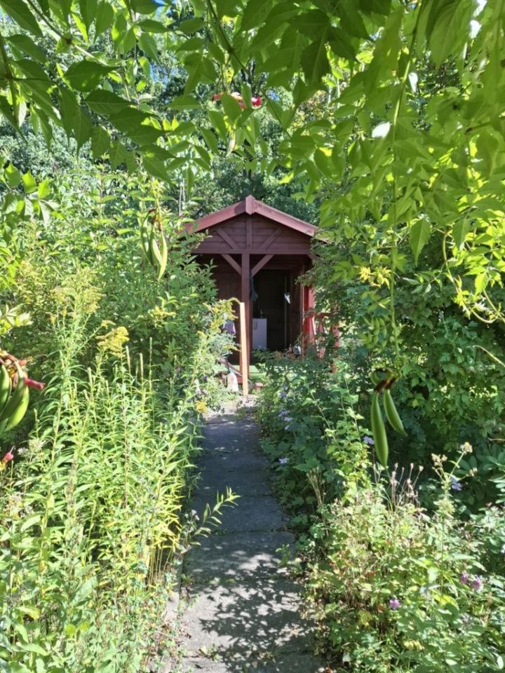 Działka rekreacyjna Zabrze. Zdjęcie 4