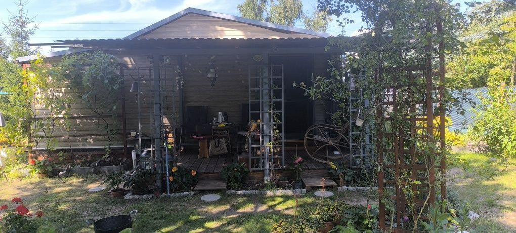 Działka Dąb Polski. Zdjęcie 3