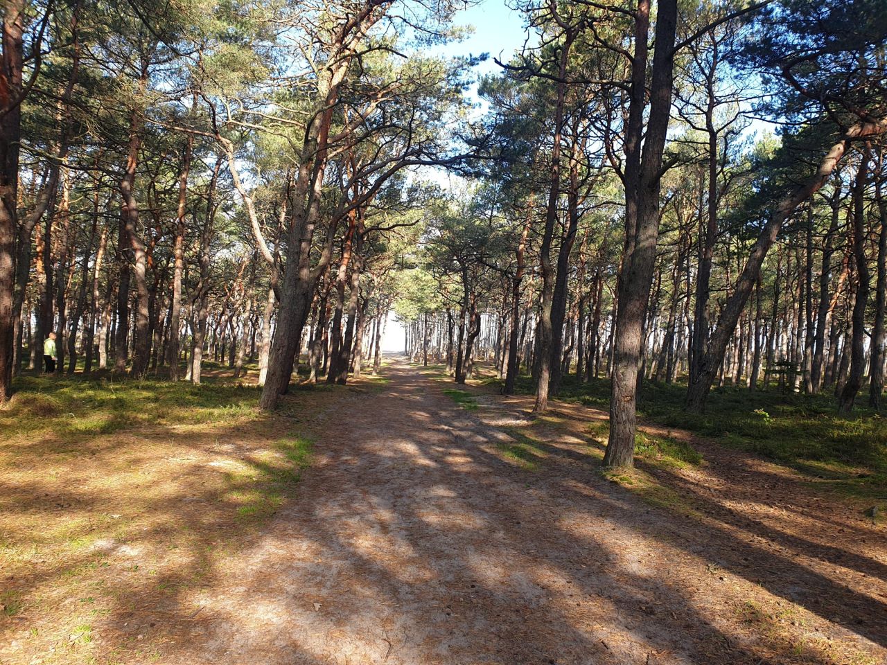 Działka rolna Ostrowo, ul. Obozowa. Zdjęcie 6