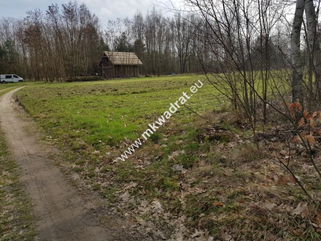 Działka rolna Borszyce. Zdjęcie 6