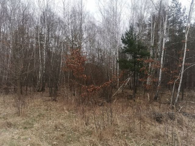 Działka budowlana Majków, ul. św. Anny. Zdjęcie 1