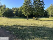 Działka budowlana Jedwabno. Zdjęcie 2