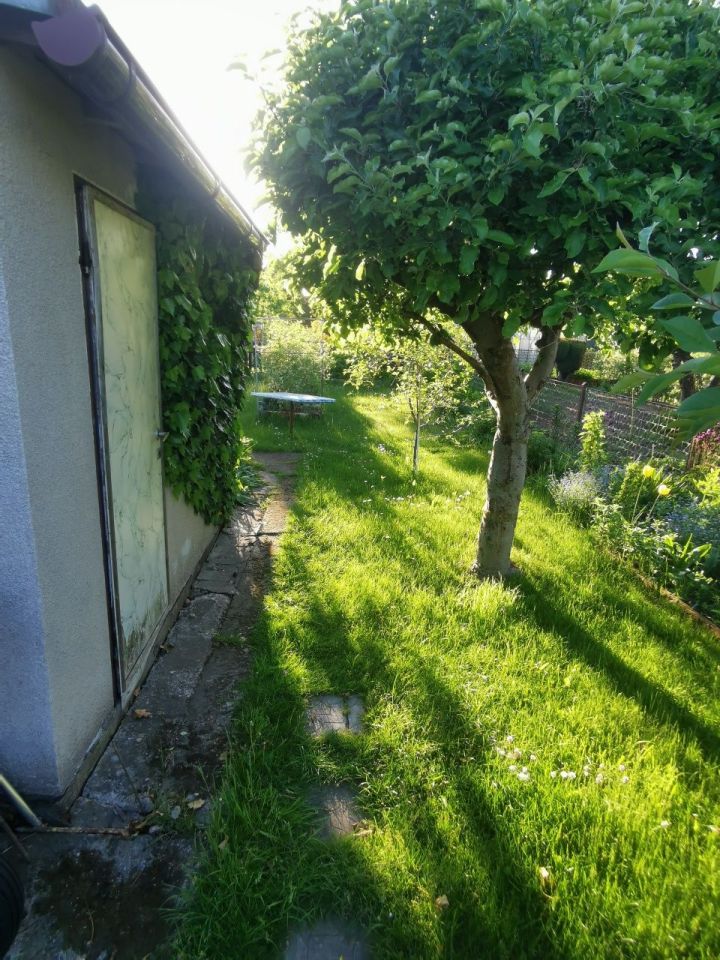 Działka rod Koszalin, ul. Szczecińska. Zdjęcie 4