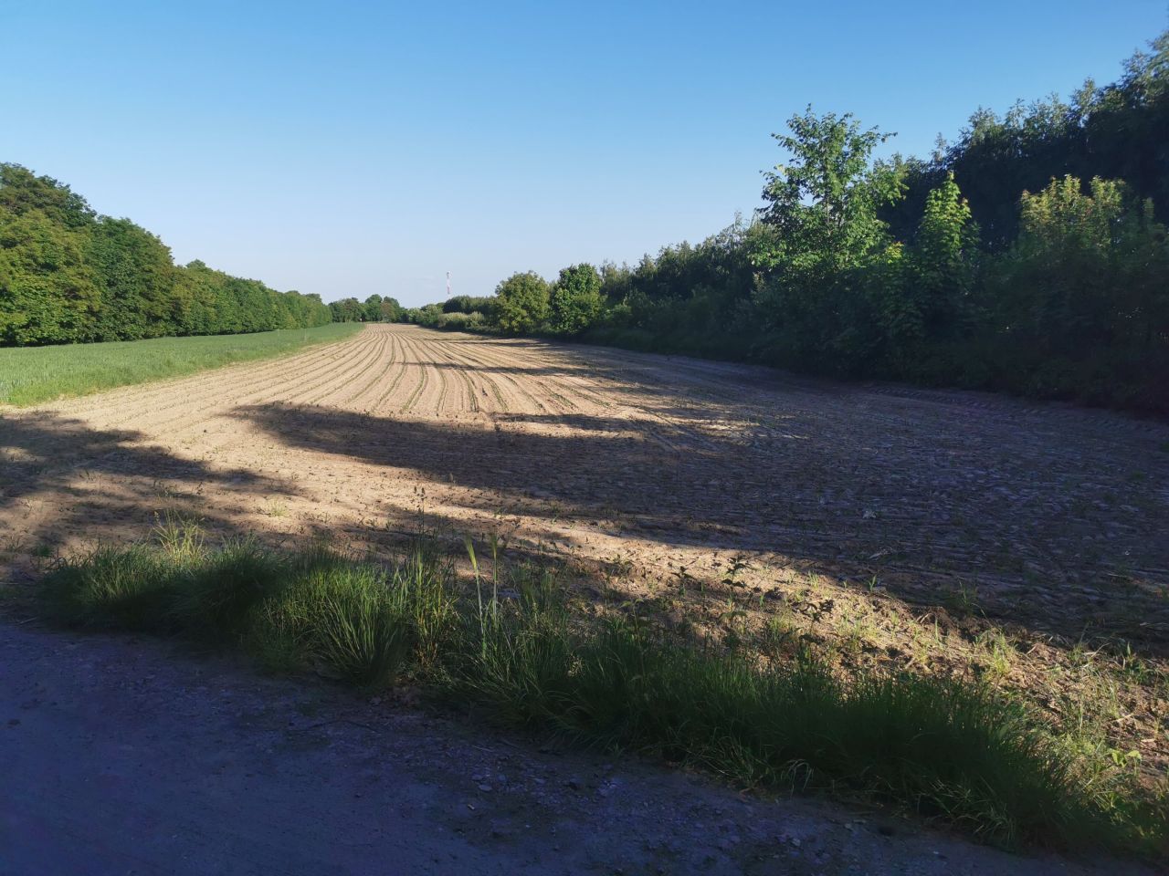 Działka rolna Iłża, ul. Batalionów Chłopskich. Zdjęcie 3