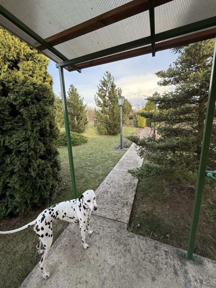 Działka rod Słupca. Zdjęcie 7