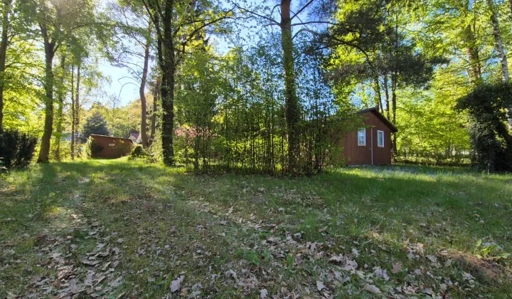 Działka rekreacyjna Popowo-Parcele, Dębowa