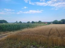Działka budowlana Dziadów Most. Zdjęcie 2