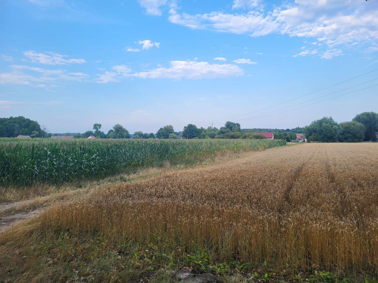 Działka budowlana Dziadów Most. Zdjęcie 3