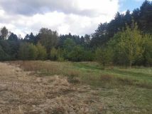 Działka rolna Włoszczowa, ul. Młynarska. Zdjęcie 3