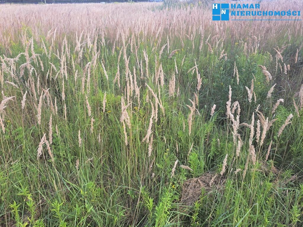 Działka budowlana Pruszków. Zdjęcie 2