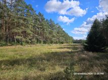 Działka rolno-budowlana Wojtal. Zdjęcie 4