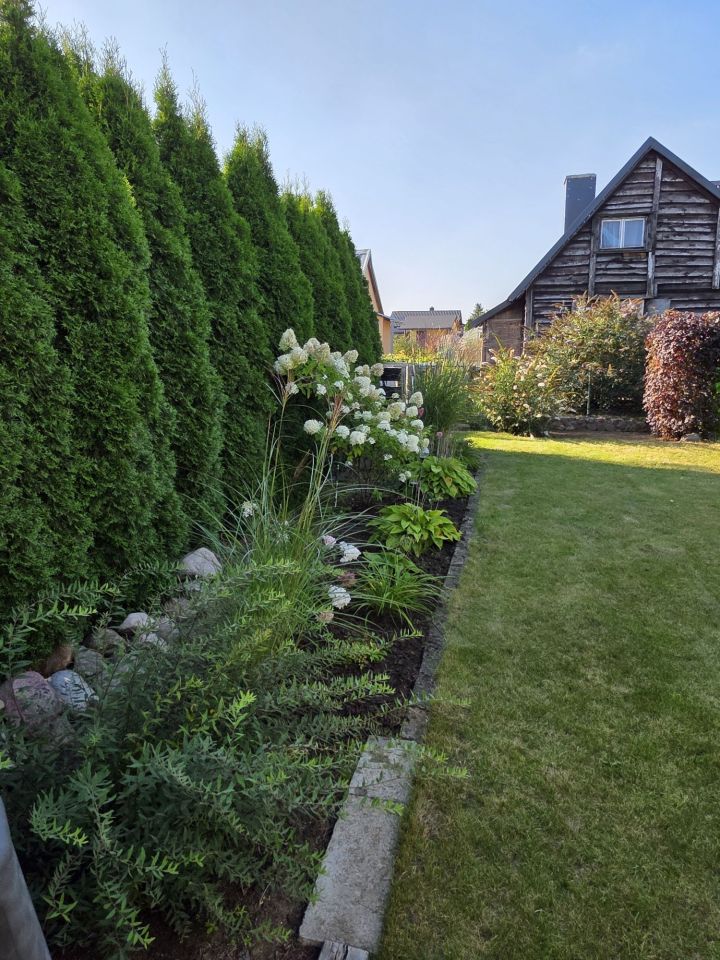 Działka rod Prostki, ul. Zielona. Zdjęcie 7