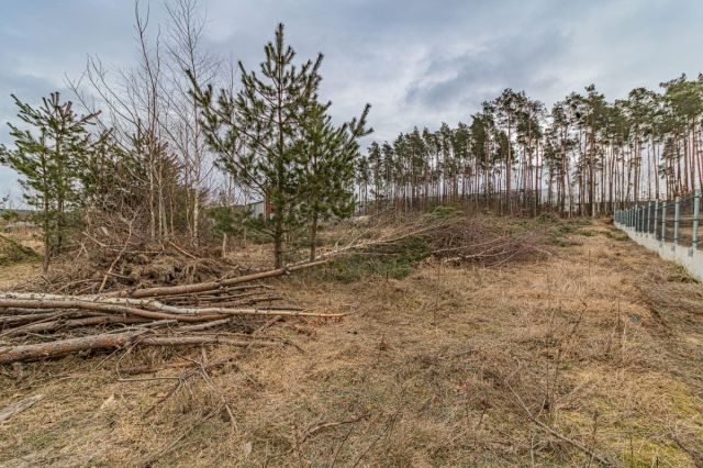 Działka inwestycyjna Chwaszczyno, ul. Rewerenda. Zdjęcie 5