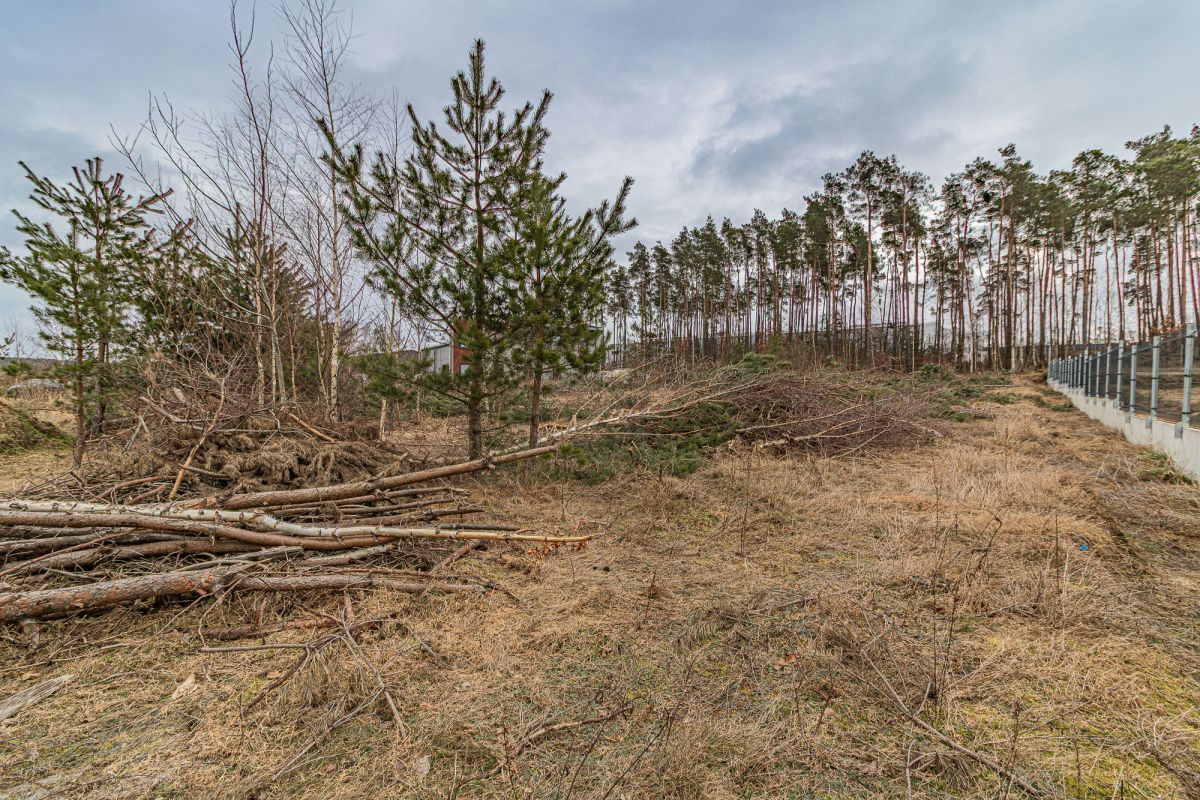 Działka inwestycyjna Chwaszczyno, ul. Rewerenda. Zdjęcie 5
