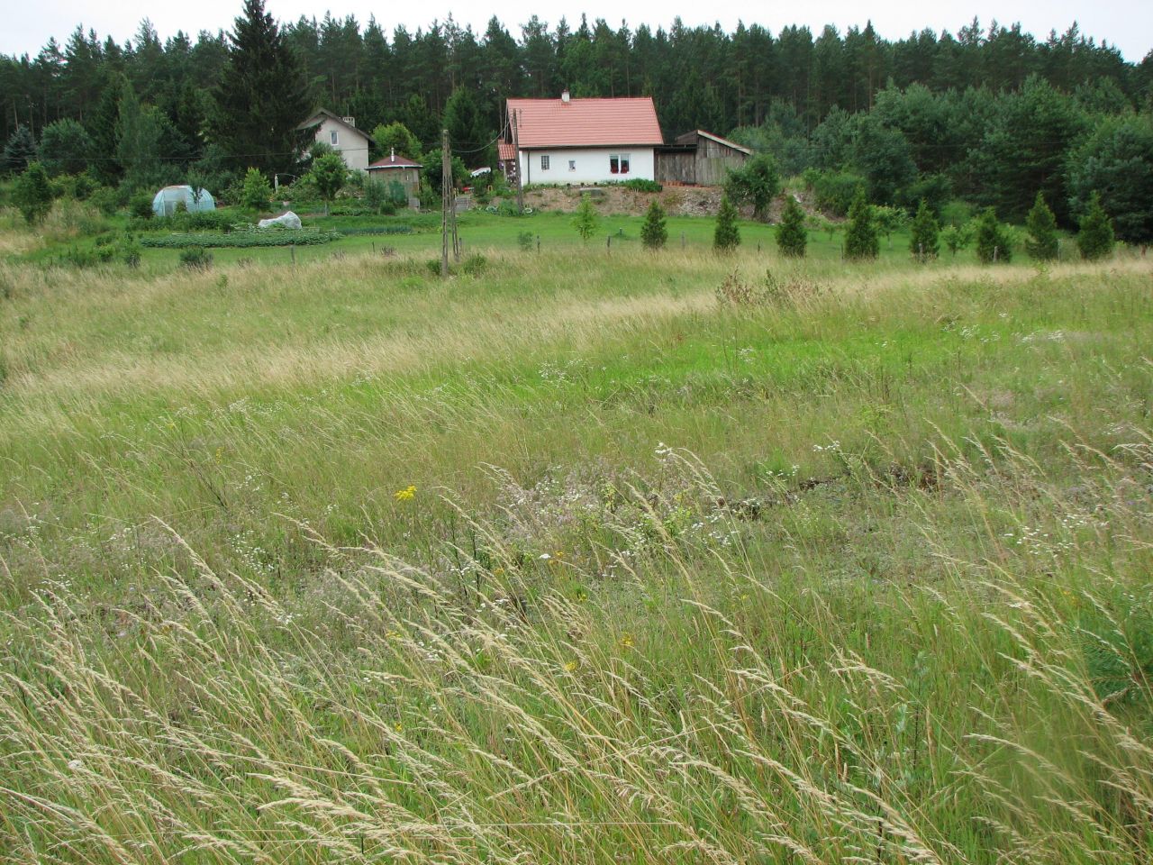 Działka budowlana Łapka. Zdjęcie 5