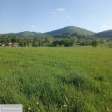 Działka rolno-budowlana Lipowa. Zdjęcie 3