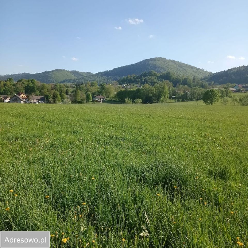 Działka rolno-budowlana Lipowa. Zdjęcie 4