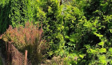 Działka rod Łódź Śródmieście, ul. ks. bp. Wincentego Tymienieckiego