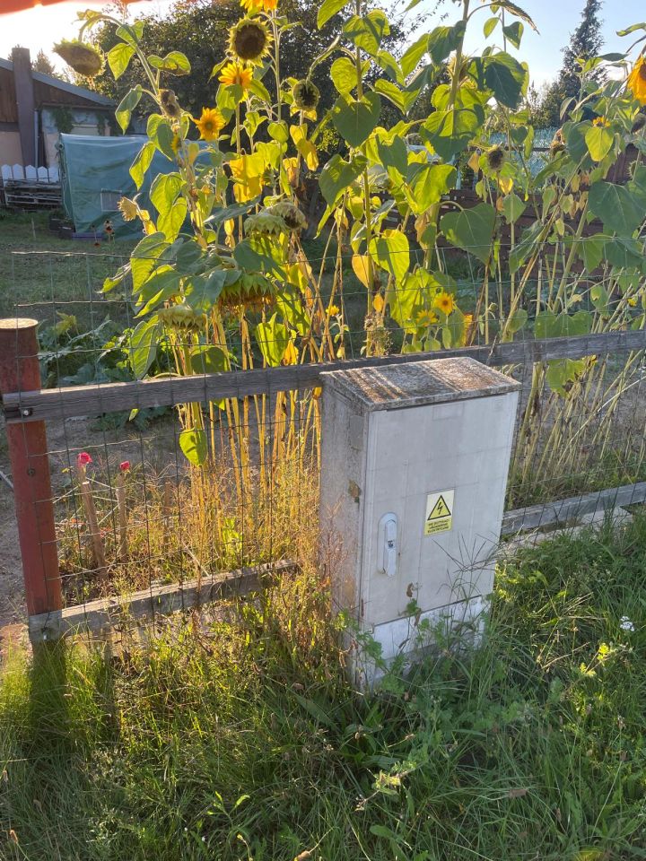 Działka rod Wrocław Stabłowice, ul. Górecka. Zdjęcie 8