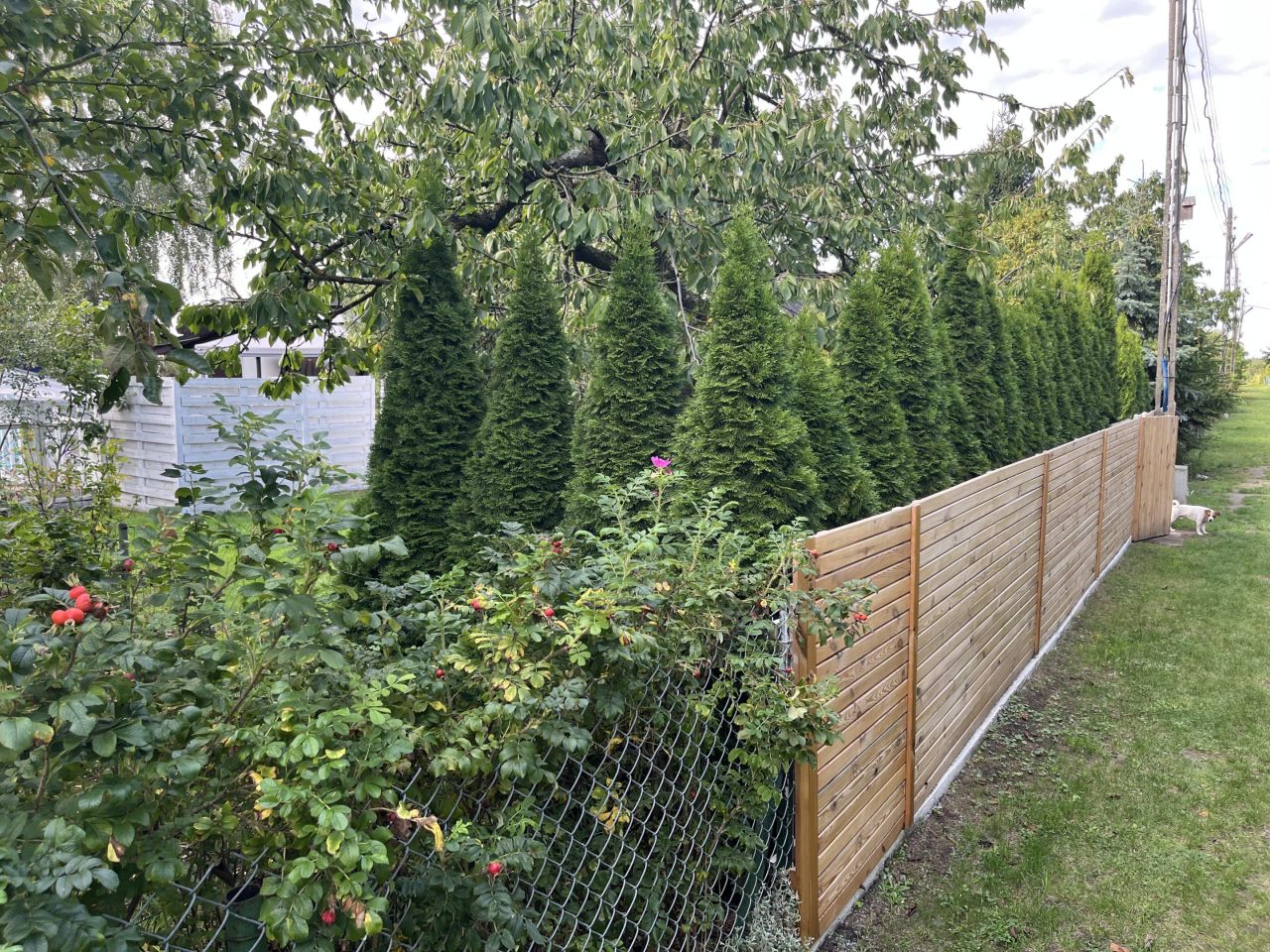 Działka rod Szczecin Pomorzany, ul. Przy Ogrodach. Zdjęcie 26