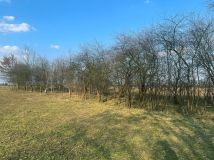 Działka budowlana Nowinki. Zdjęcie 1