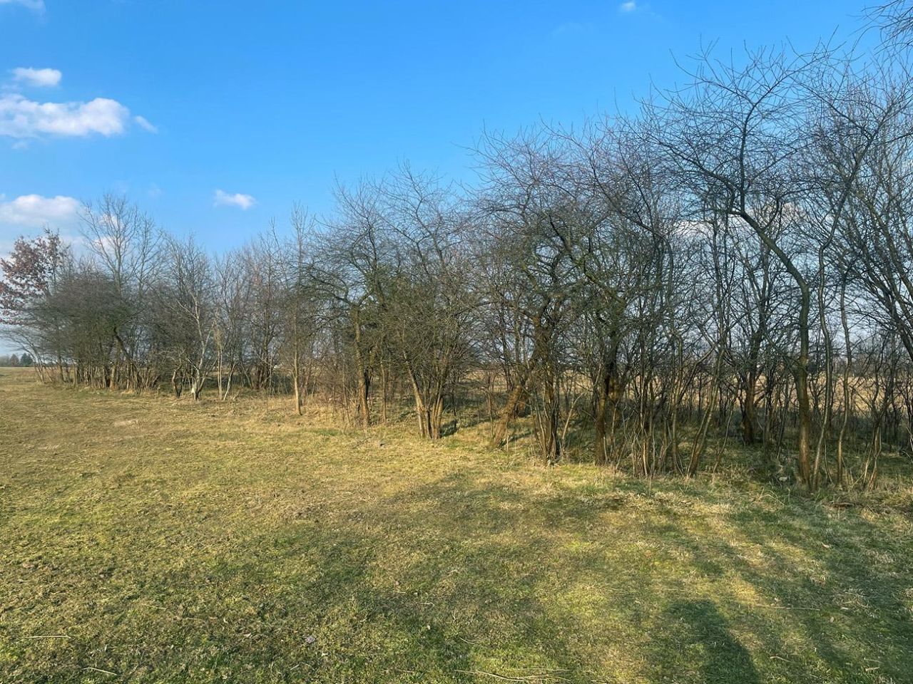 Działka budowlana Nowinki. Zdjęcie 2