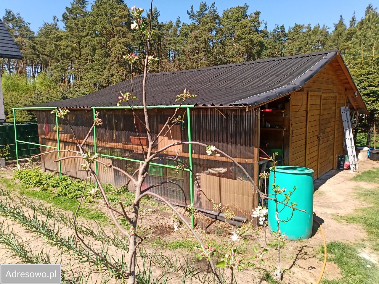 dom wolnostojący, 3 pokoje Szemud. Zdjęcie 13