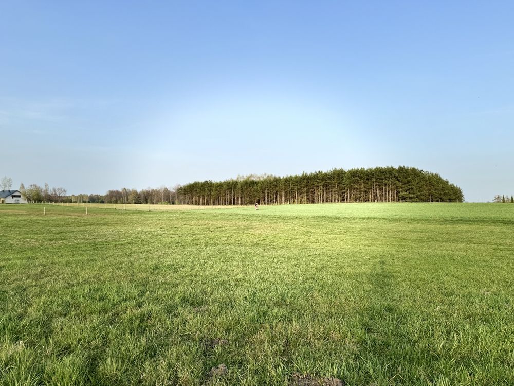 Działka rolno-budowlana Gabowe Grądy. Zdjęcie 3