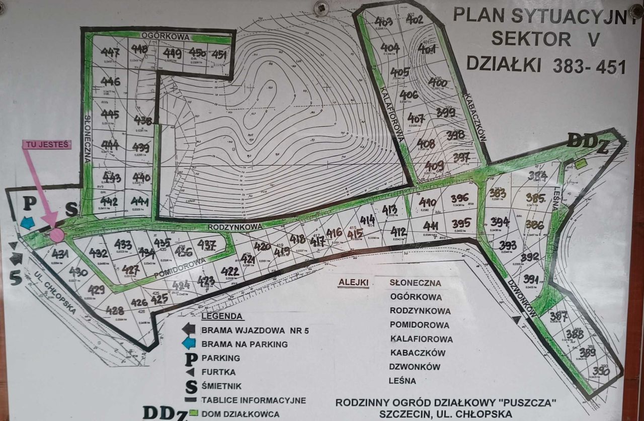 Działka rod Szczecin Bukowe. Zdjęcie 7