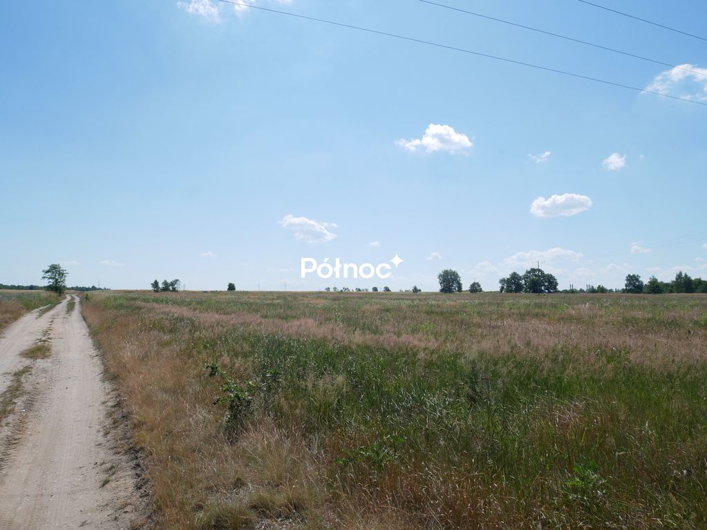 Działka inwestycyjna Wykroty. Zdjęcie 9