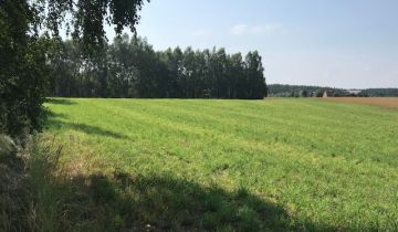 Działka rolno-budowlana Zbiczno