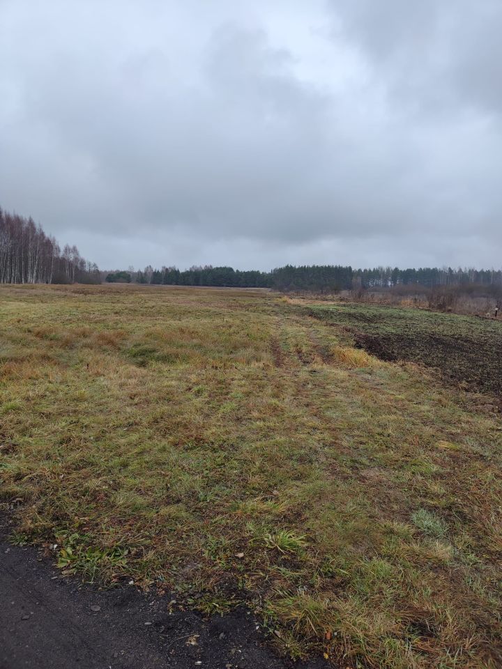 Działka rolna Lewkowo Stare. Zdjęcie 3