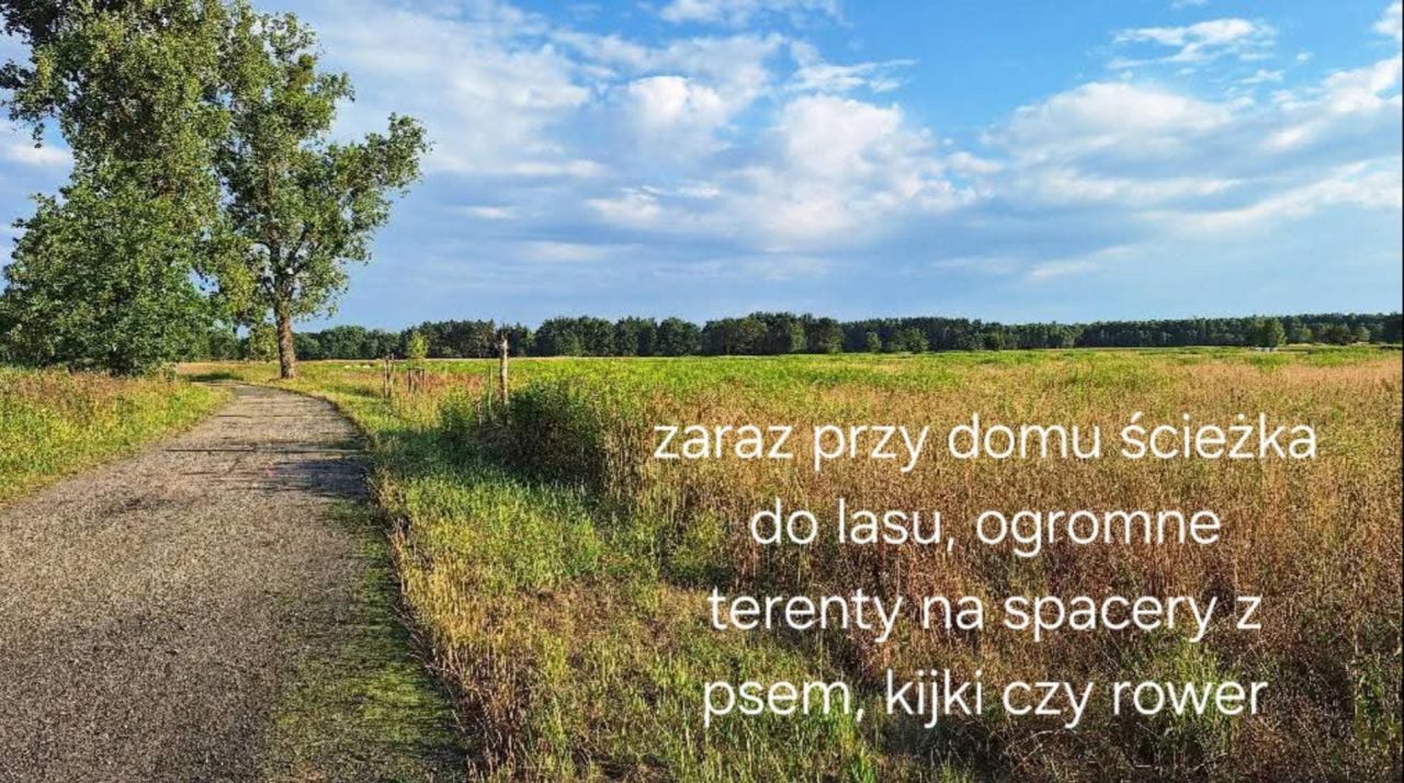 dom wolnostojący, 3 pokoje Dąbrówka Dolna, ul. Budkowska. Zdjęcie 18