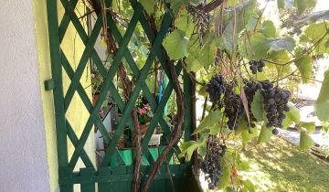 Mieszkanie 2-pokojowe Opoczno, ul. Marii Skłodowskiej-Curie