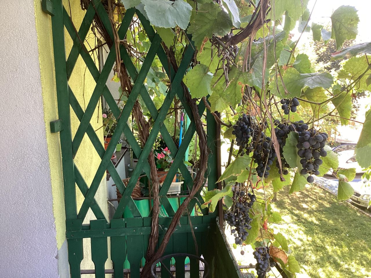 Mieszkanie 2-pokojowe Opoczno, ul. Marii Skłodowskiej-Curie. Zdjęcie 1