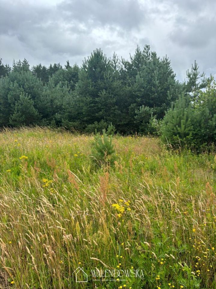 Działka inwestycyjna Smołdzino. Zdjęcie 9