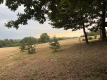 Działka budowlana Czyżów. Zdjęcie 1