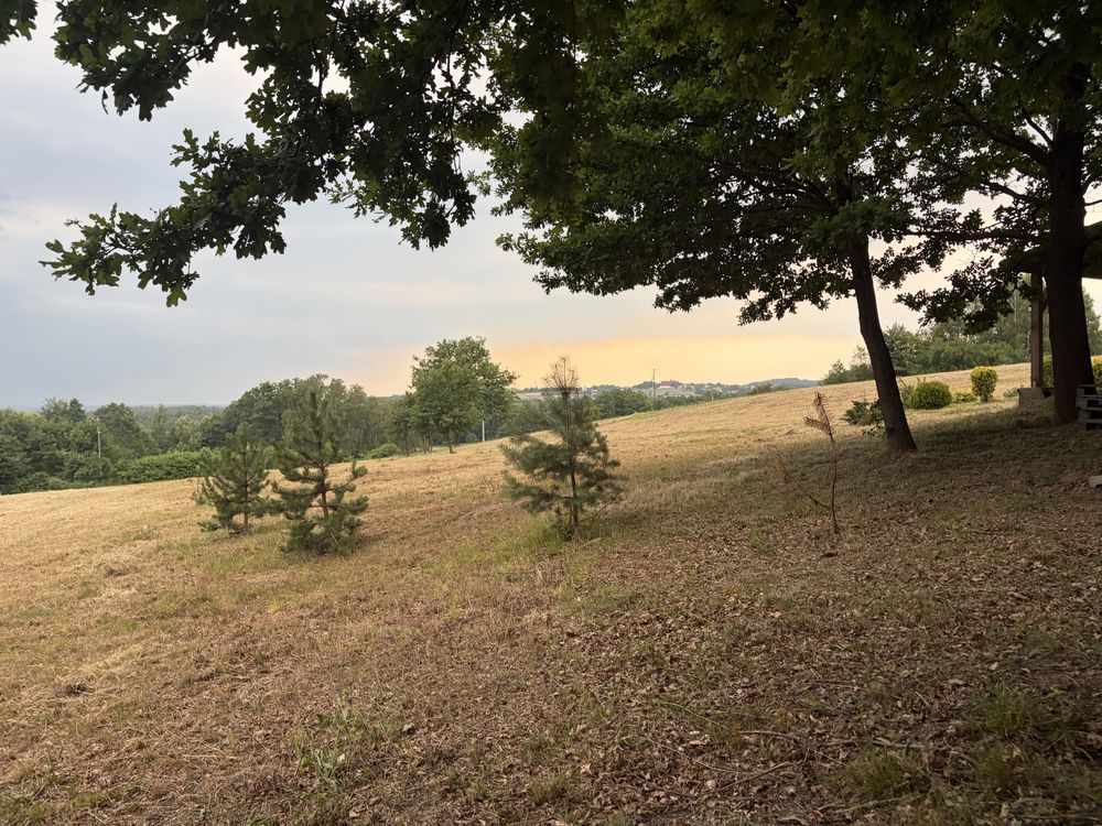 Działka budowlana Czyżów. Zdjęcie 2