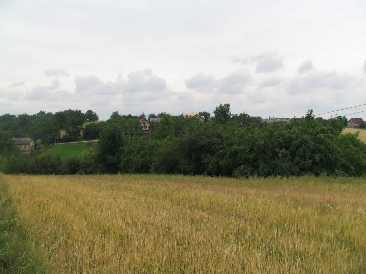 Działka rolno-budowlana Krasieniec Zakupny