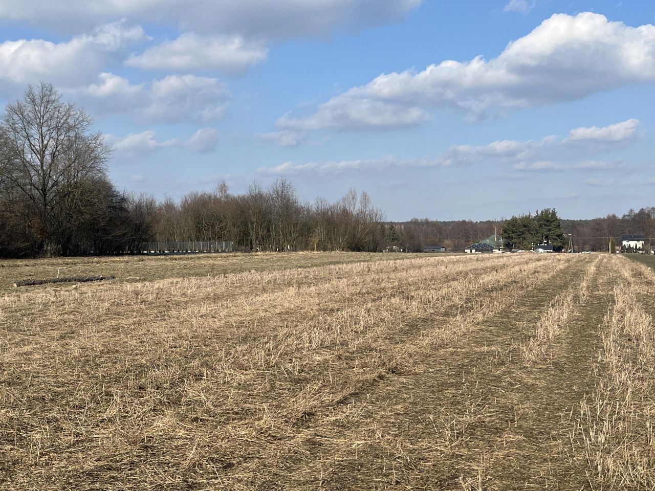 Działka budowlana Kletnia, ul. Wschodnia. Zdjęcie 3