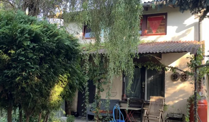 Działka rod Kalisz, ul. Pogodna