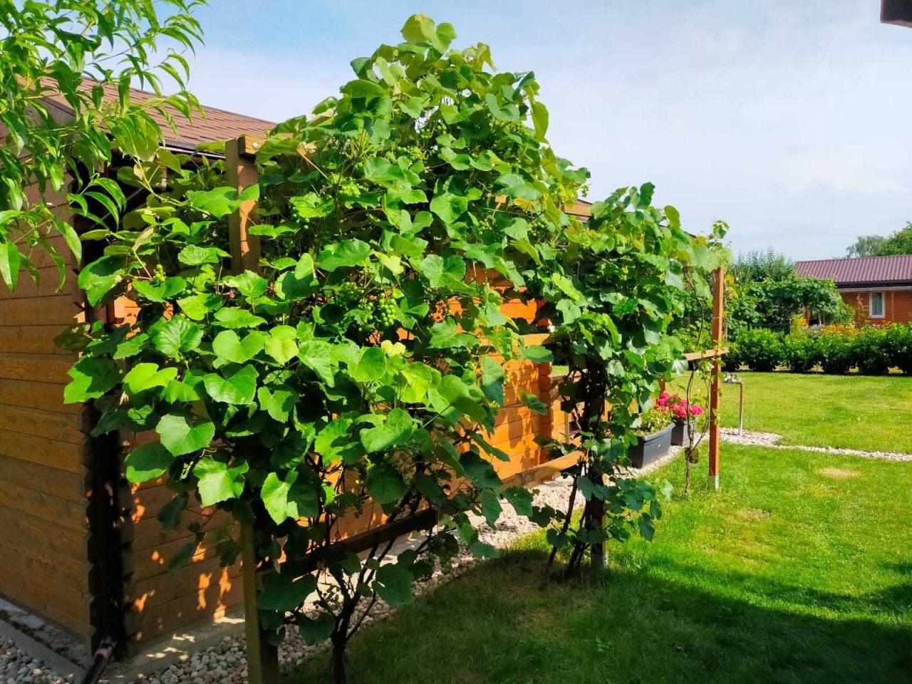 Działka rod Lublin, ul. Sławinkowska. Zdjęcie 7