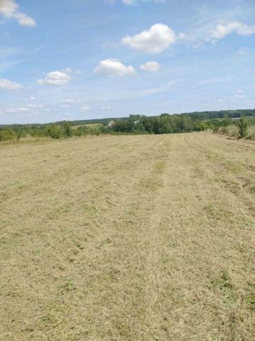 Działka rolna Podgórz. Zdjęcie 1