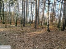 Działka budowlana Biadaszka. Zdjęcie 1