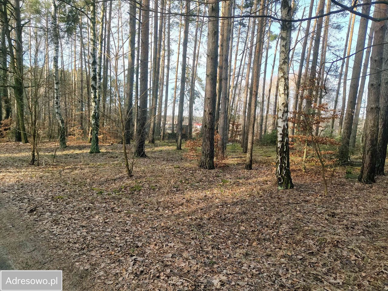 Działka budowlana Biadaszka. Zdjęcie 2