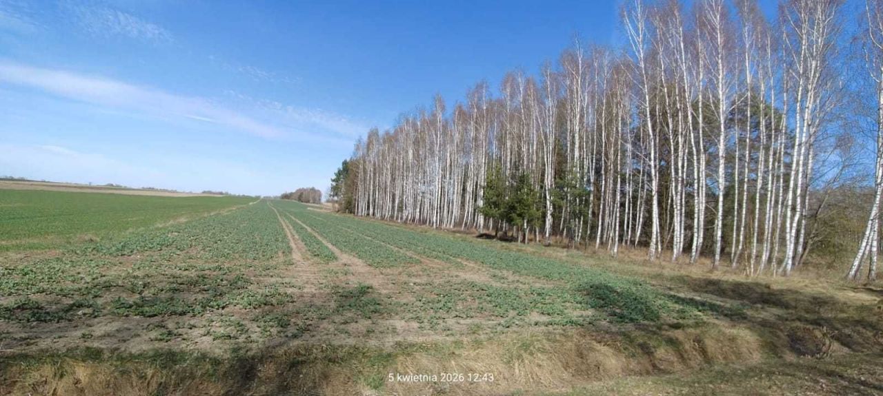 Działka rolna Leniewo. Zdjęcie 1
