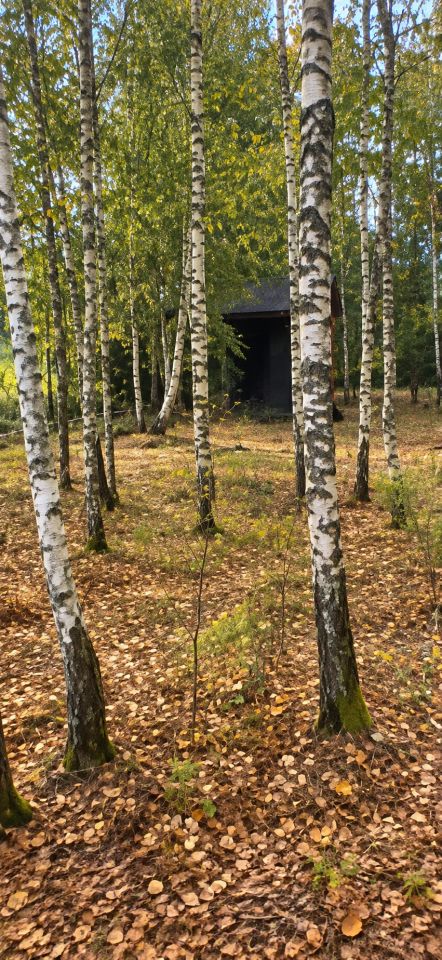 Działka rolno-budowlana Stpice. Zdjęcie 1